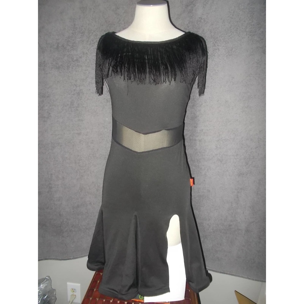 Z & X Fringe dress